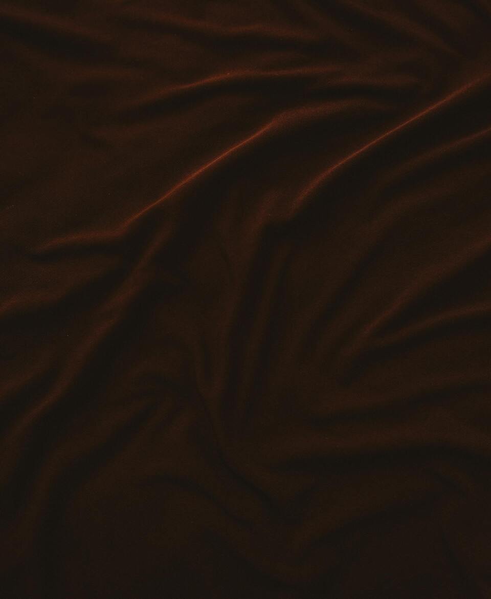 pexels gulsahaydgn 30263578 (1)